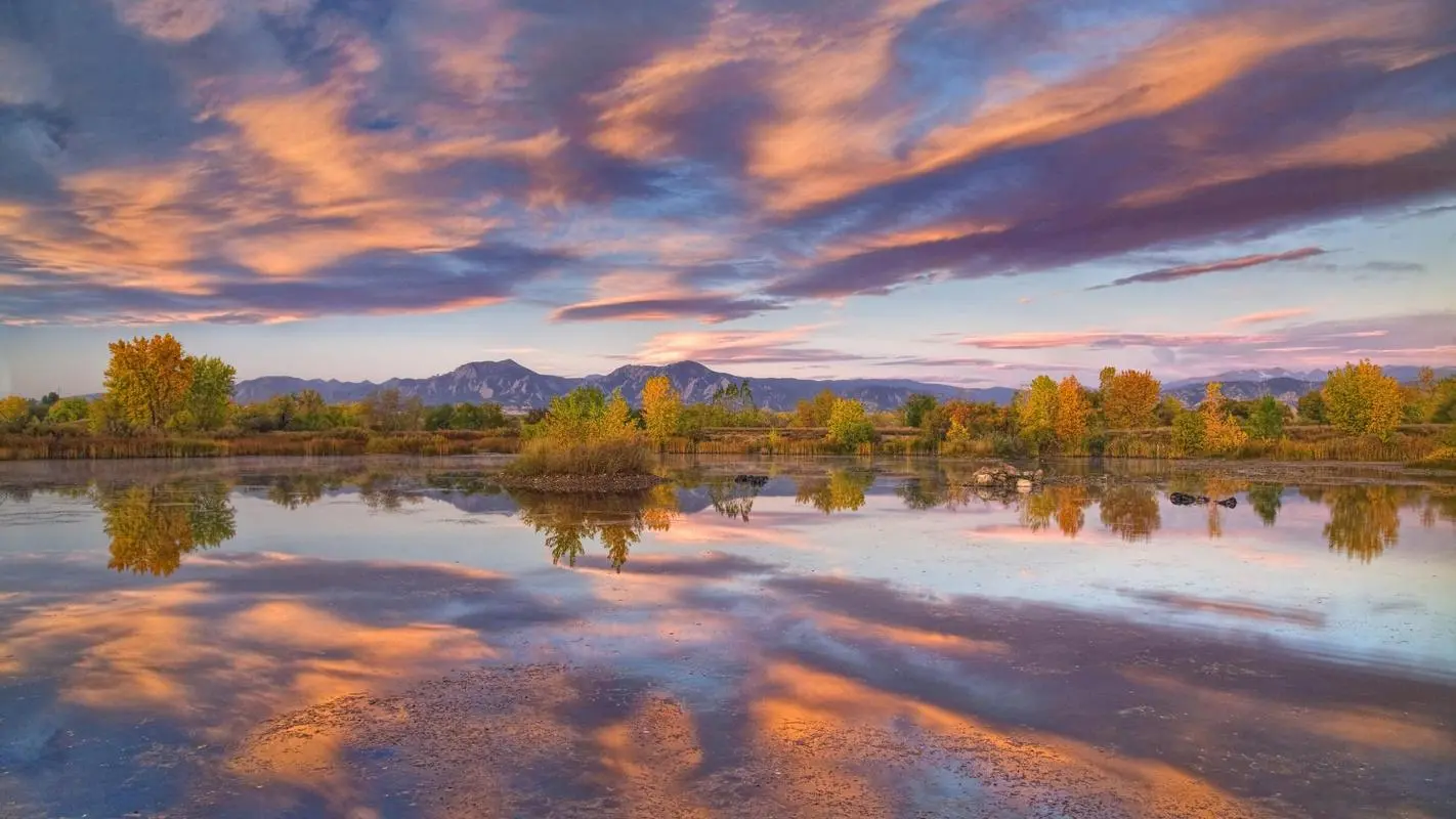 全自动稳定性高标准